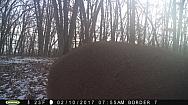 2017-02-10 PICT0543