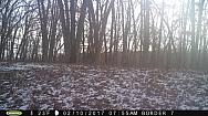 2017-02-10 PICT0544