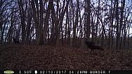 2017-02-10 PICT0545