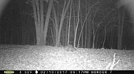 2017-02-10 PICT0551