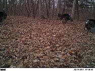 2017-02-14 PICT2259