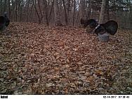 2017-02-14 PICT2260