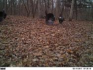 2017-02-14 PICT2261