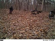 2017-02-14 PICT2276