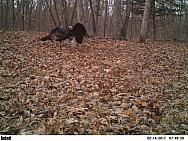 2017-02-14 PICT2285