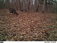 2017-02-14 PICT2294
