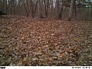 2017-02-14 PICT2299