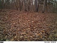 2017-02-14 PICT2301