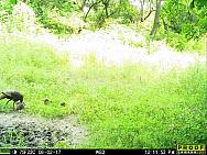 2017-08-02 08020869