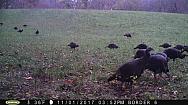 2017-11-01 PICT0085